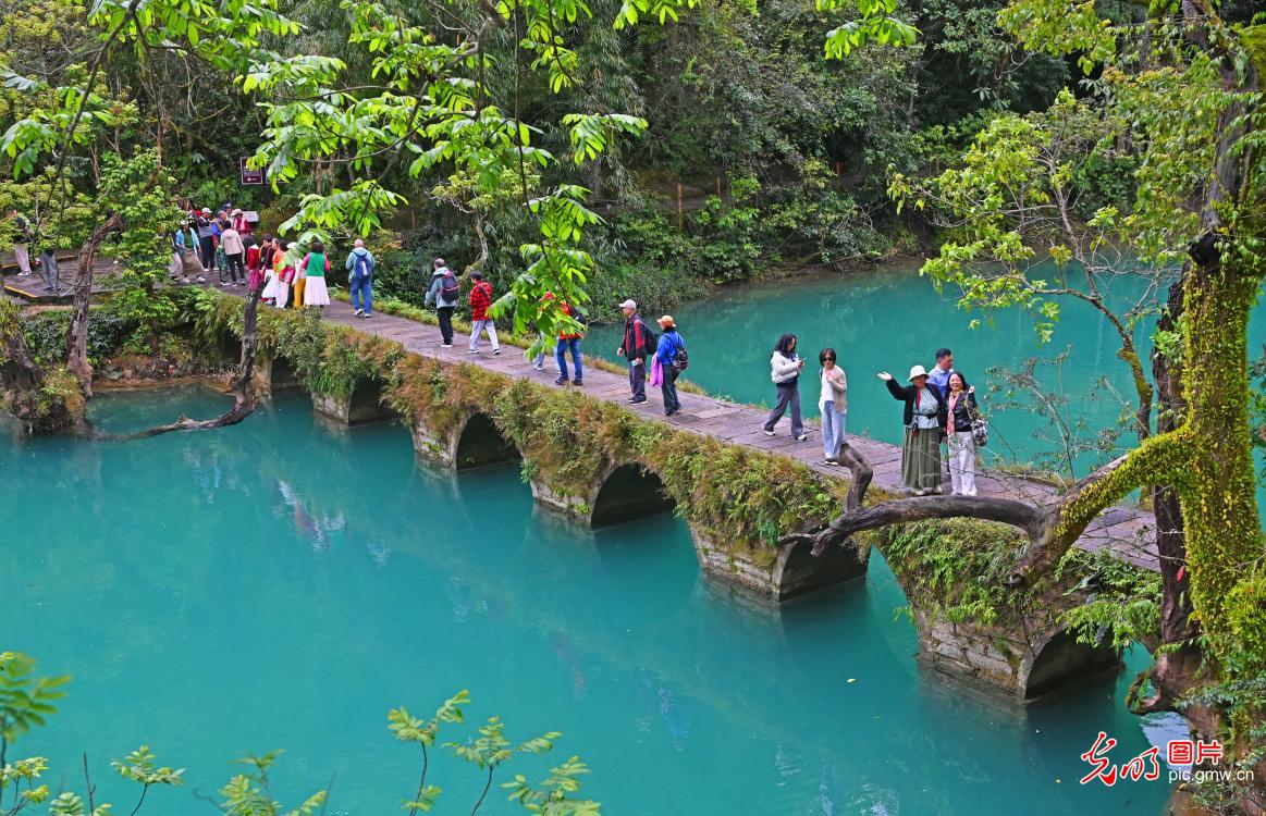 春风拂荔波 石桥映清流
