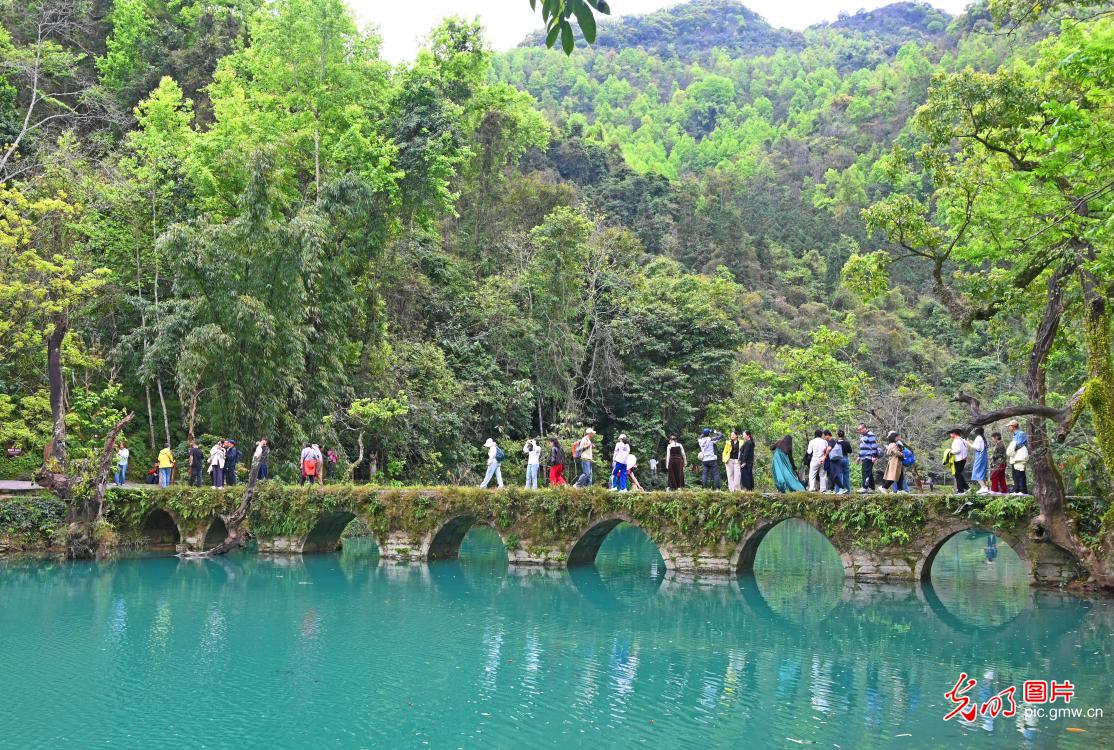 春风拂荔波 石桥映清流