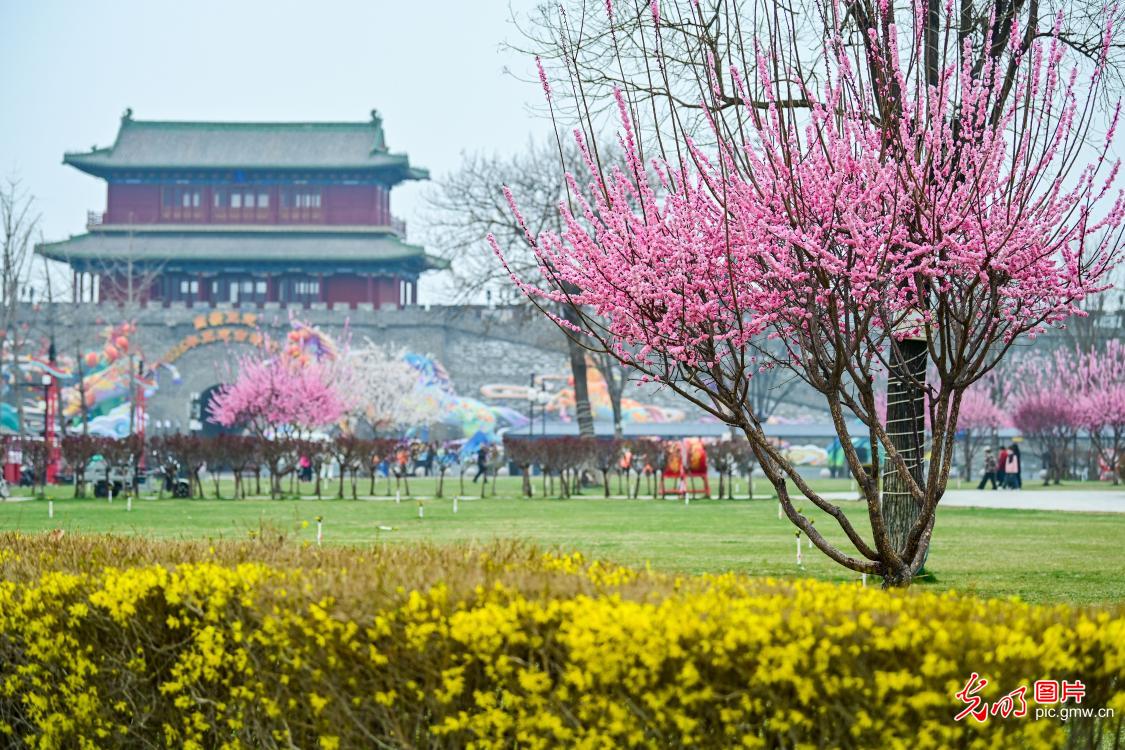 3月23日-29日光明图片一周见报作品精选 3月23日-29日光明图片一周见报作品精选