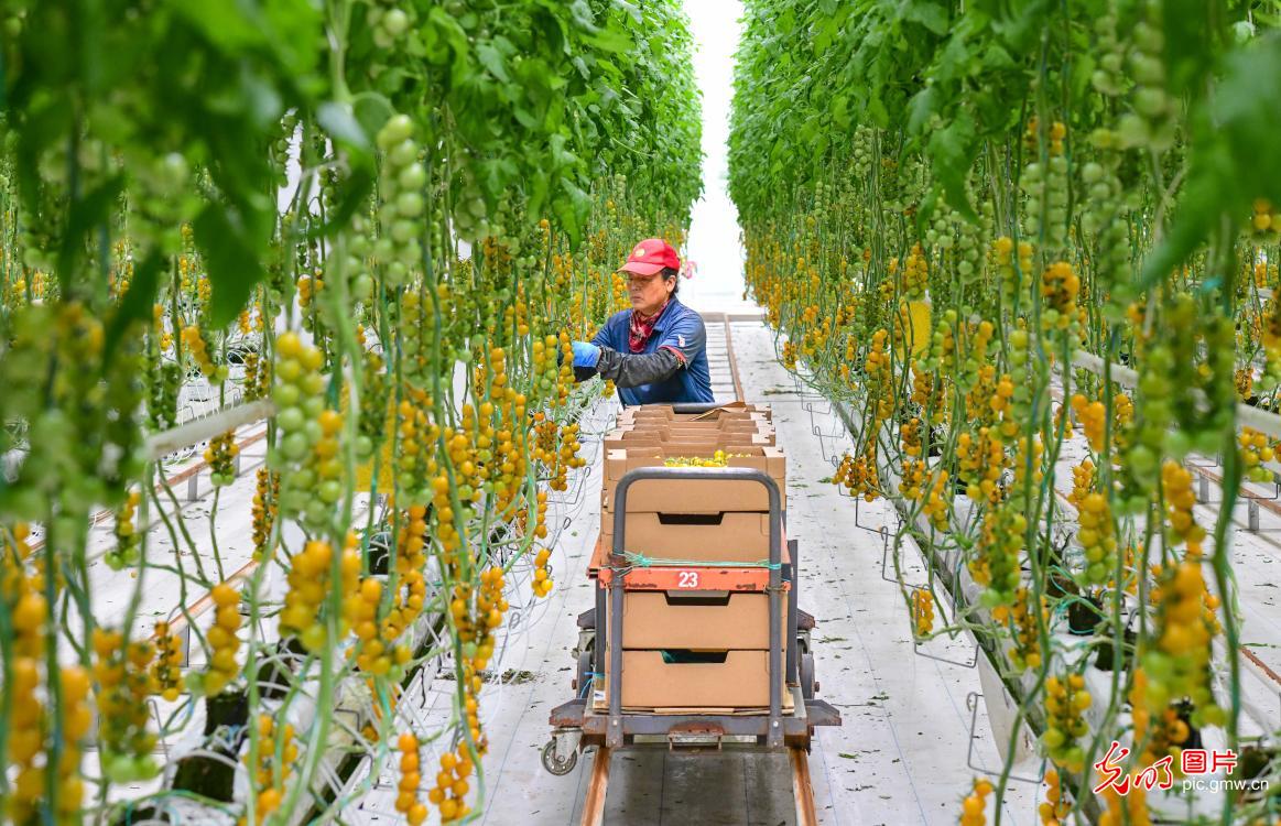 3月23日-29日光明图片一周见报作品精选 3月23日-29日光明图片一周见报作品精选