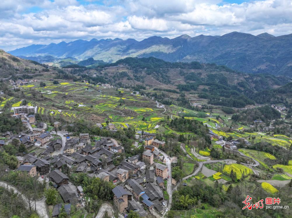 传统村落春色美