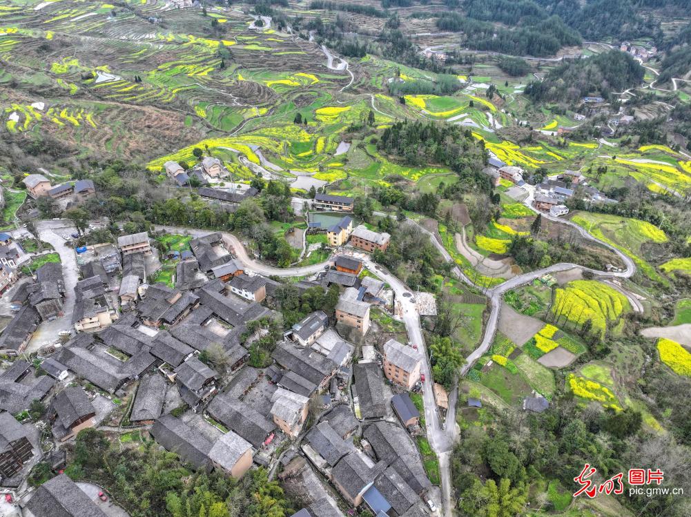 传统村落春色美