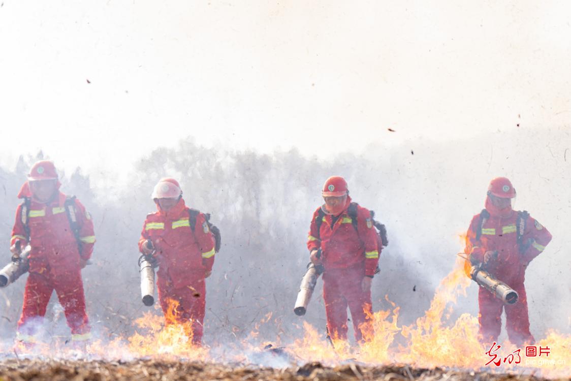 森林火灾应急演练