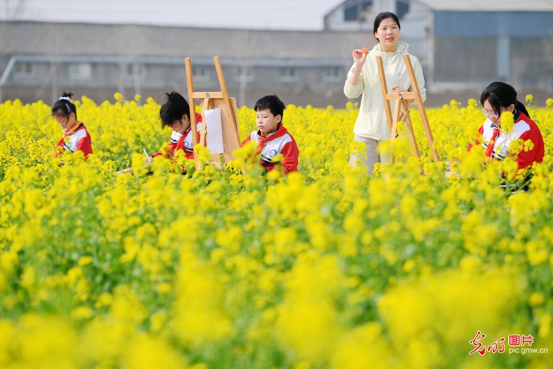 把课堂“搬进”油菜花田