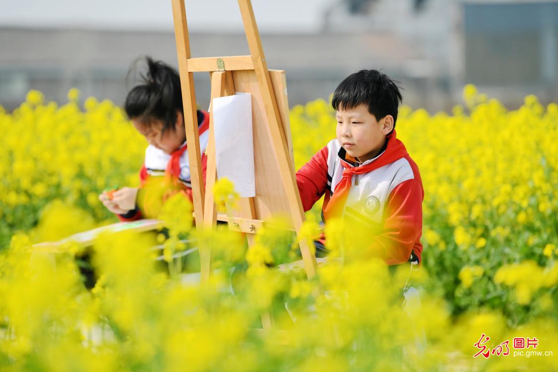 把课堂“搬进”油菜花田