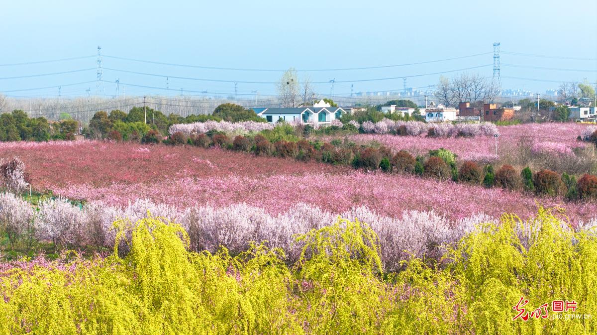 春绘乡野 文旅兴农