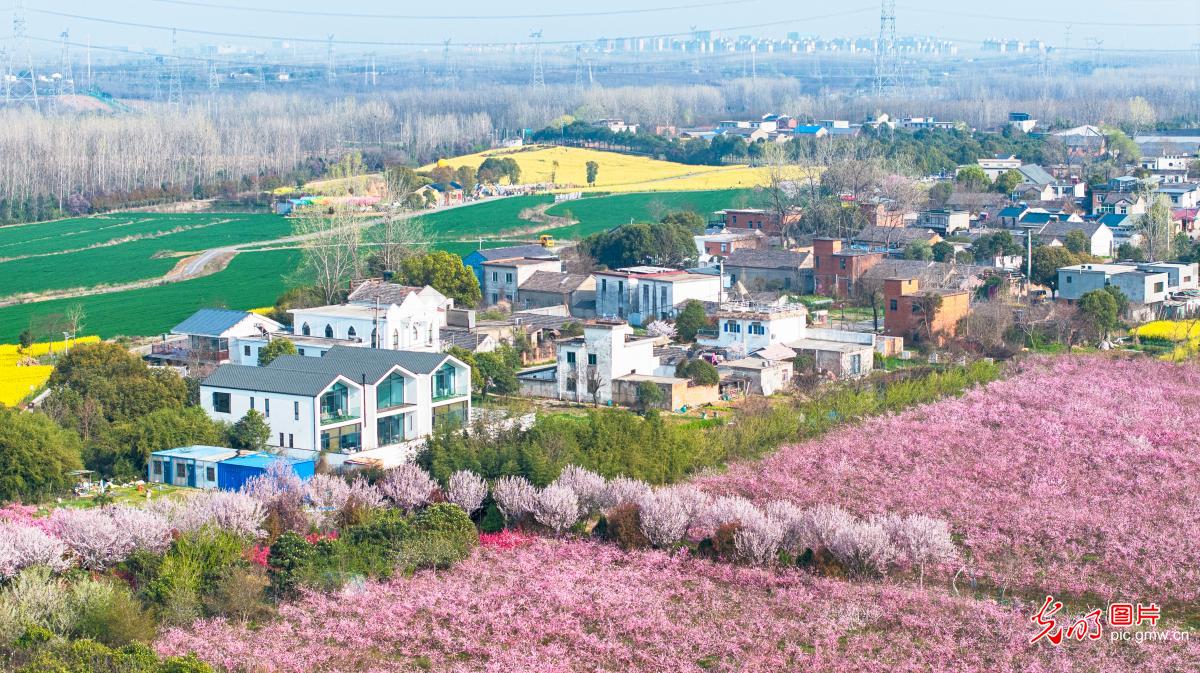 春绘乡野 文旅兴农