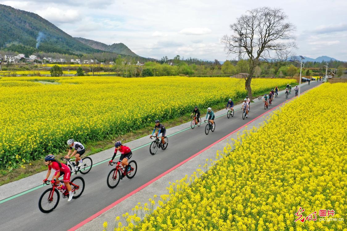 逐风赛道 驰骋春光