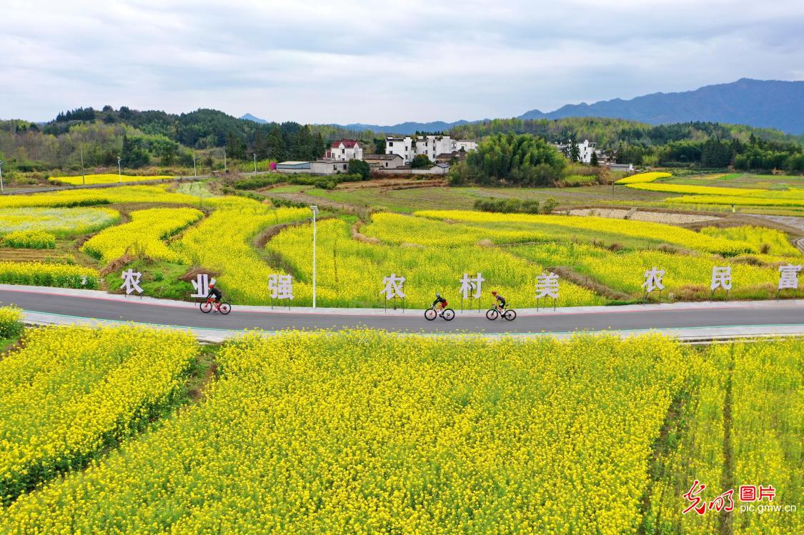 逐风赛道 驰骋春光