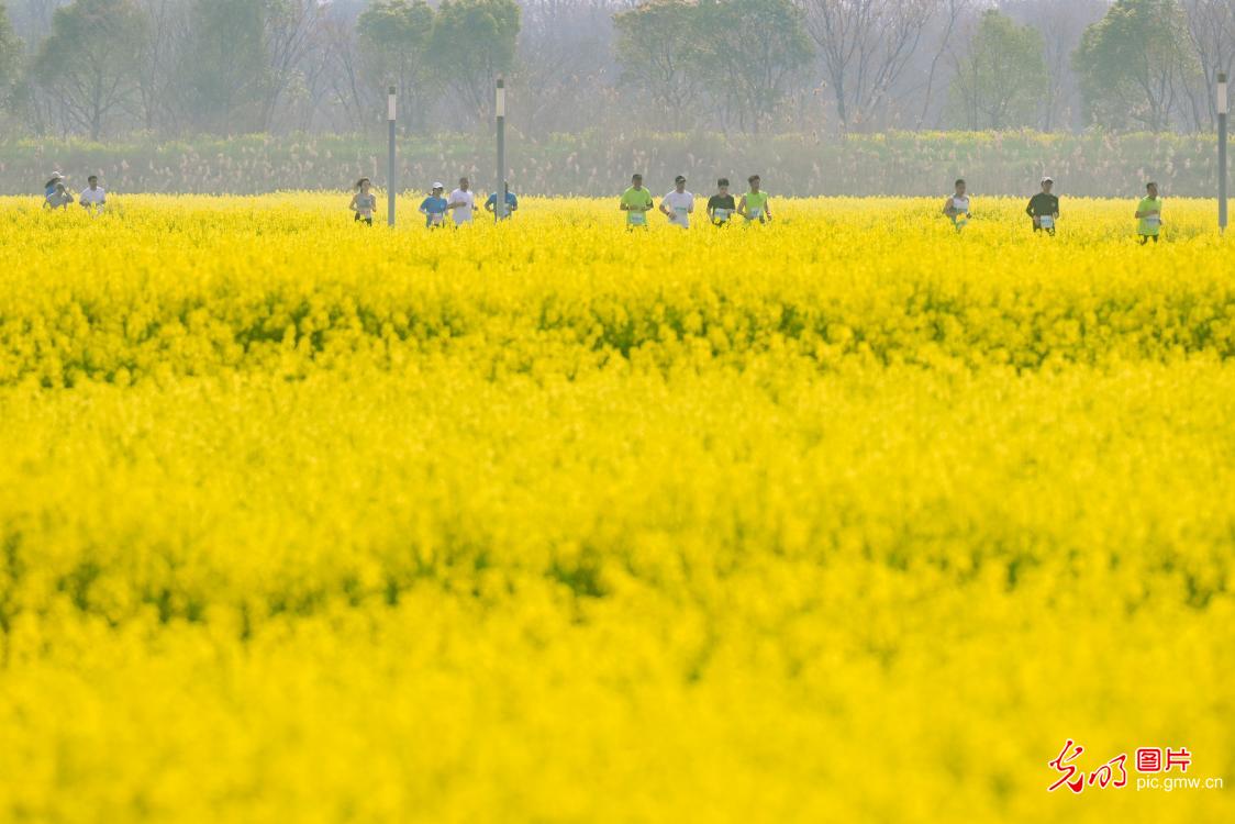 花间奔跑 打卡春天