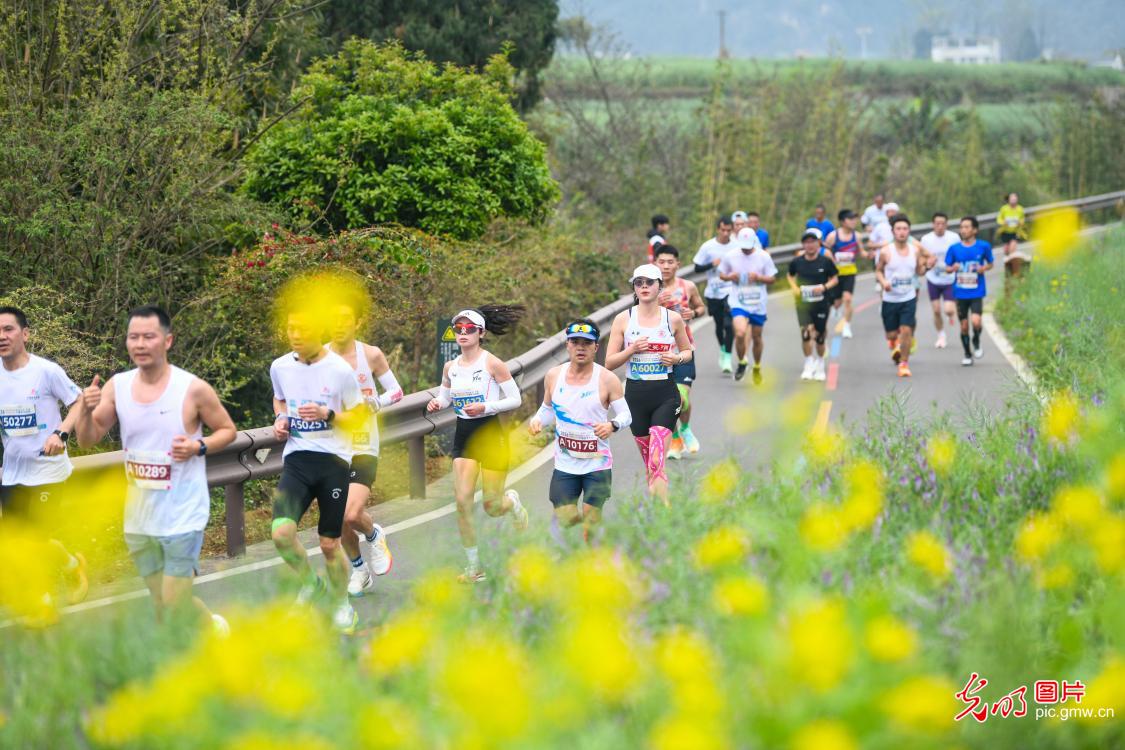花间奔跑 打卡春天