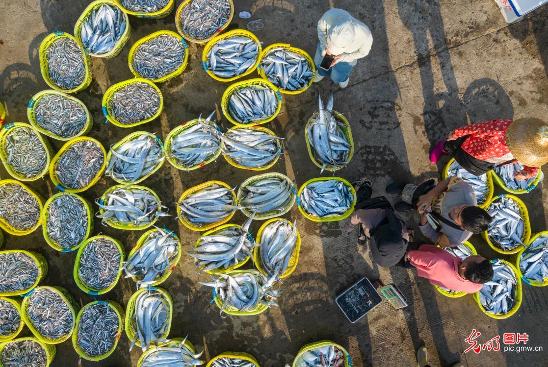“海上春耕”绘丰景