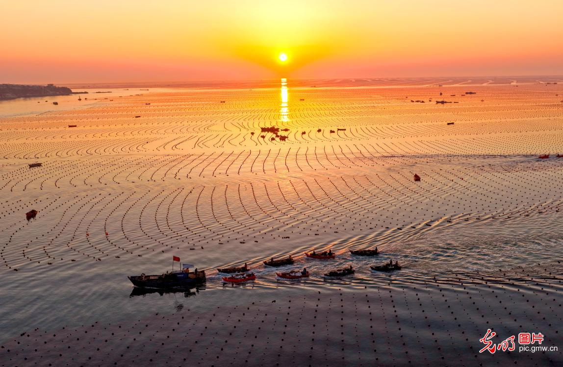 “海上春耕”绘丰景