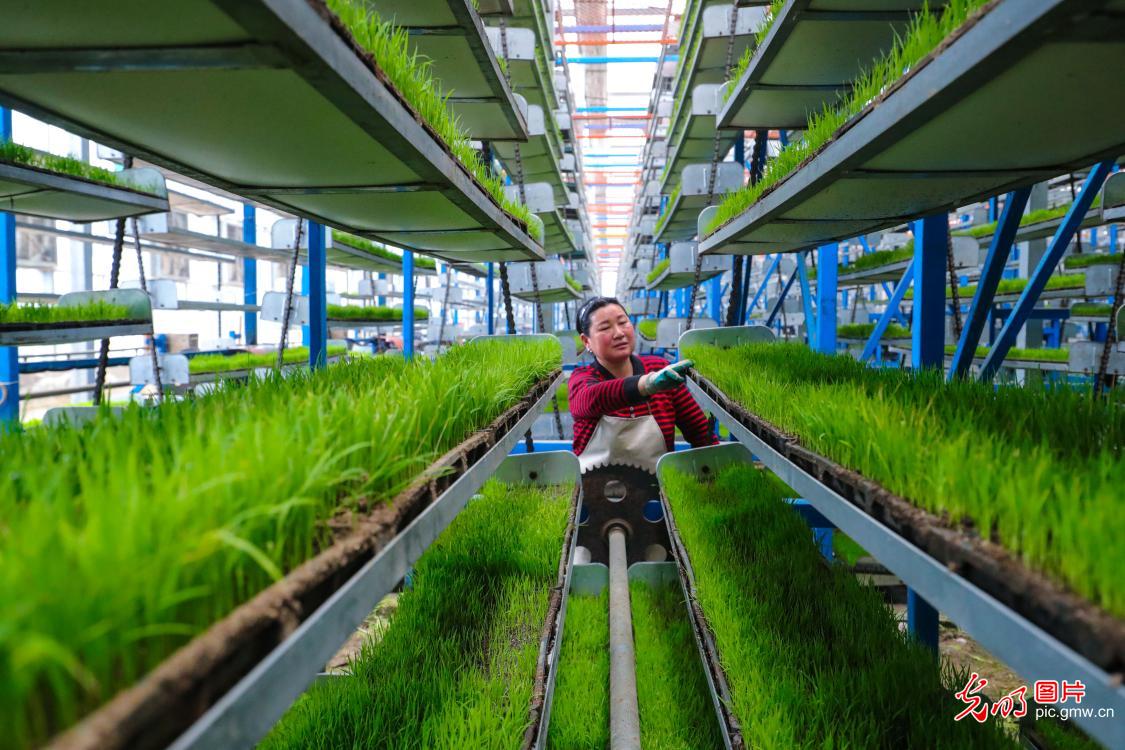 3月23日-29日光明图片一周见报作品精选 3月23日-29日光明图片一周见报作品精选