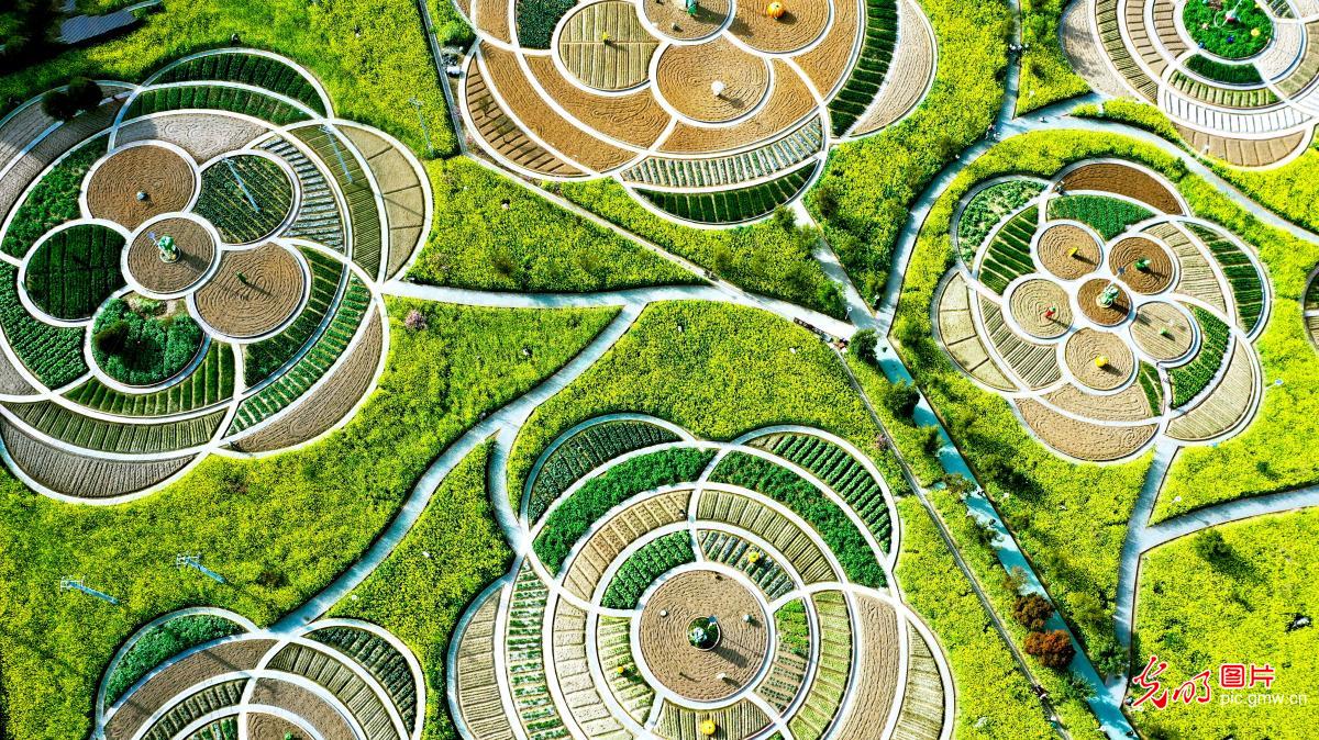 3月23日-29日光明图片一周见报作品精选 3月23日-29日光明图片一周见报作品精选