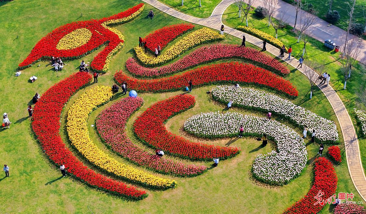 春日乡村风光好 农旅融合助振兴