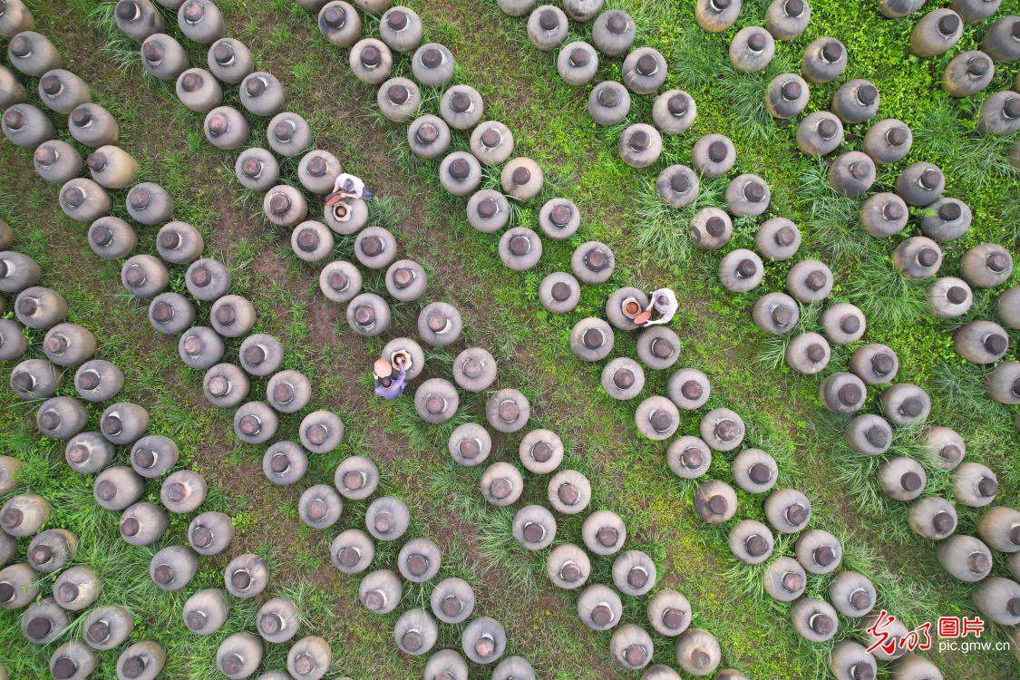 古法晒醋 匠心传承 古法晒醋 匠心传承