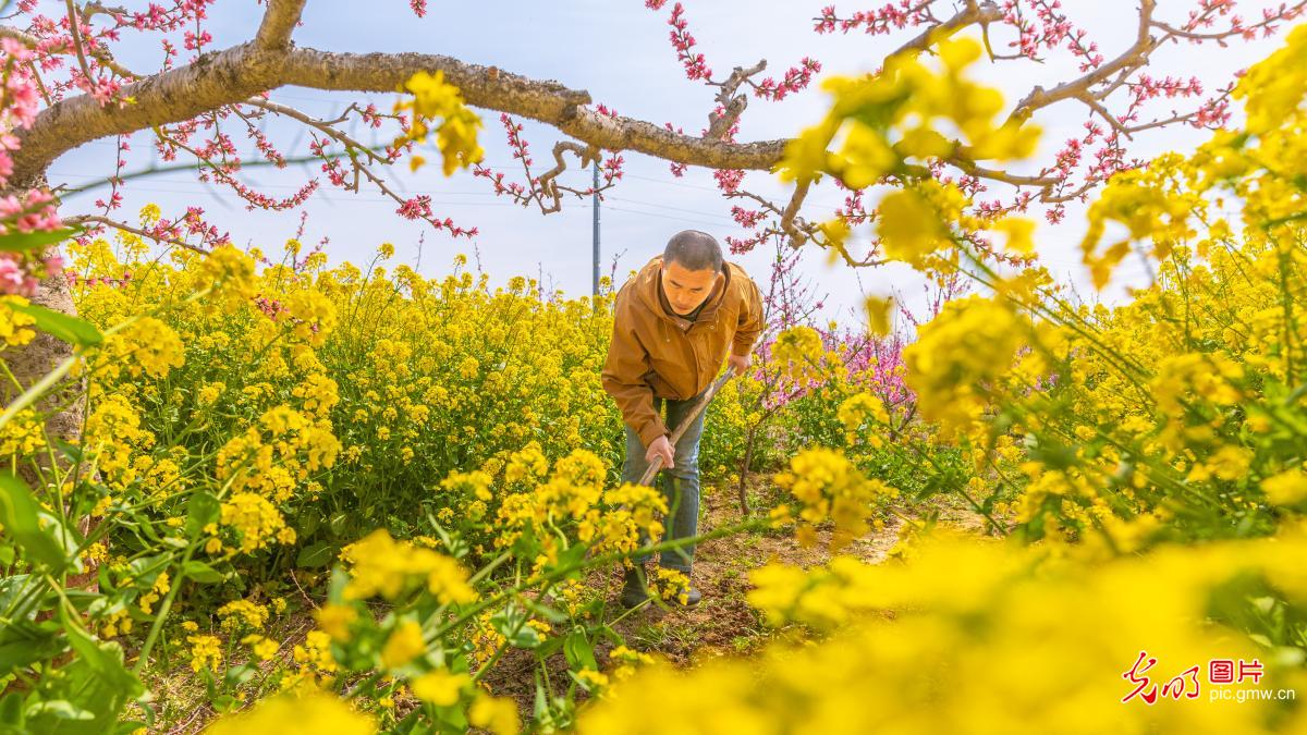 3月30日-4月5日光明图片一周见报作品精选 3月30日-4月5日光明图片一周见报作品精选