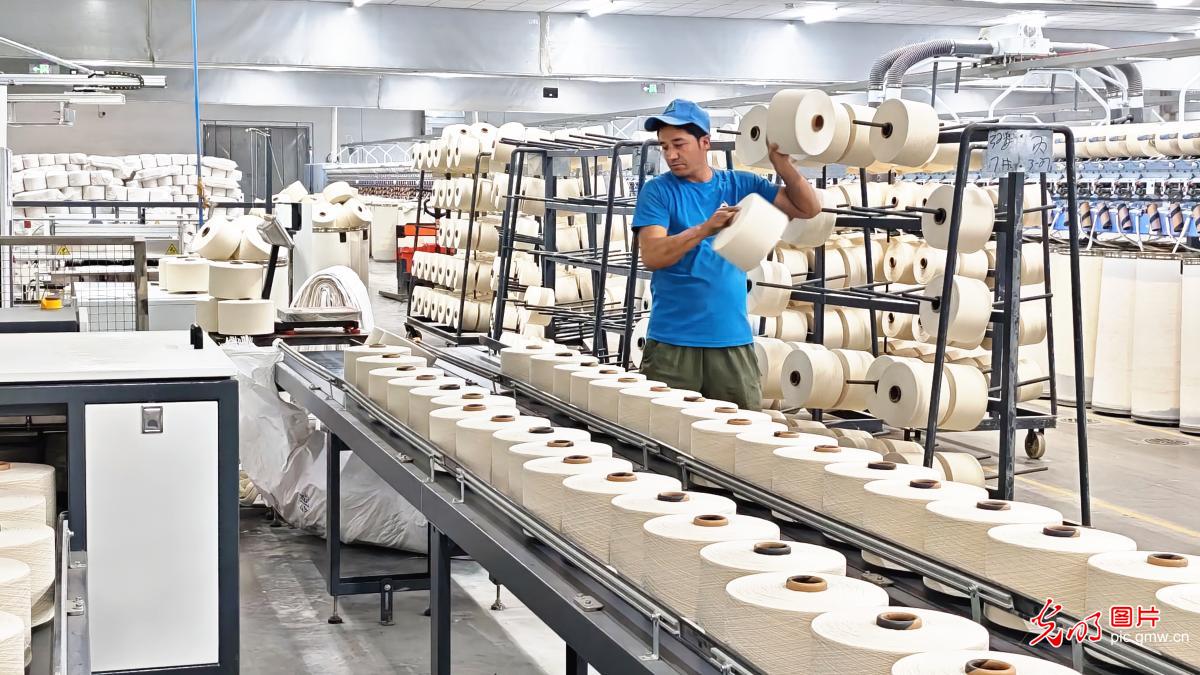 纺线织就发展新图景
