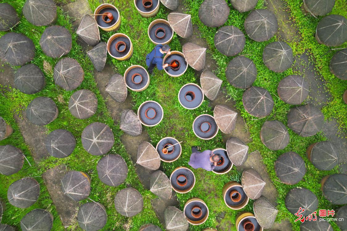 3月30日-4月5日光明图片一周见报作品精选 3月30日-4月5日光明图片一周见报作品精选