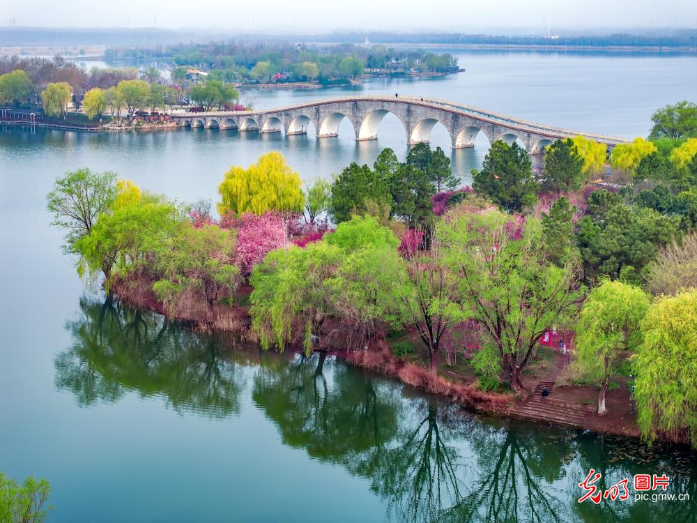 烟雨双湖 春景如画