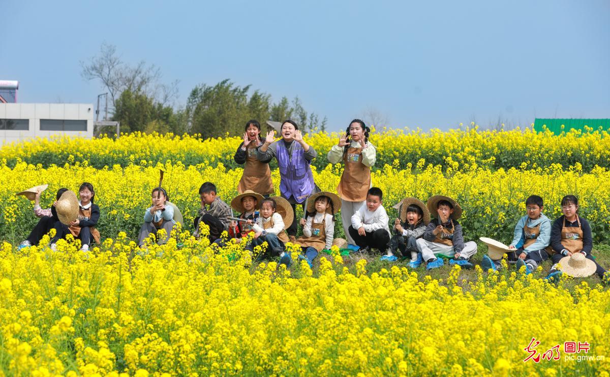 春假拾趣 不负好时光 春假拾趣 不负好时光