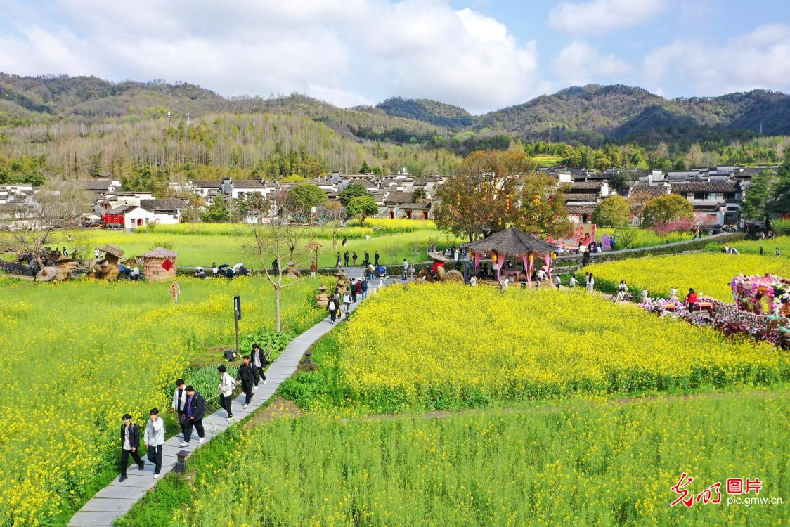 春假拾趣 不负好时光 春假拾趣 不负好时光