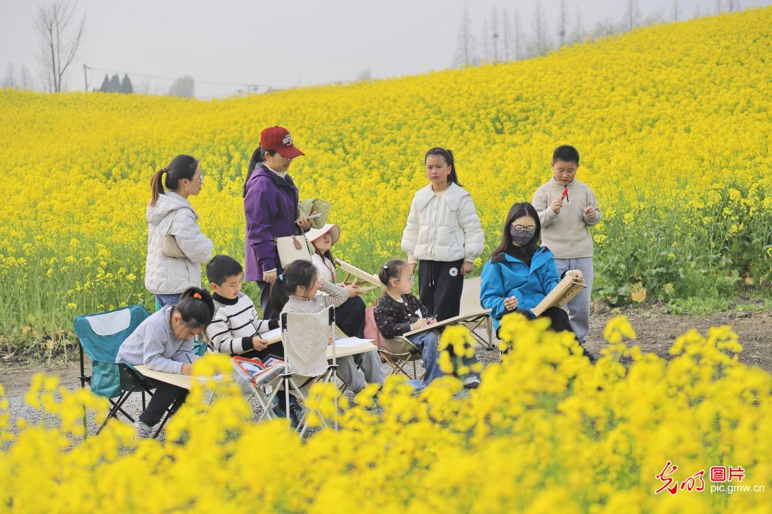 春假拾趣 不负好时光 春假拾趣 不负好时光