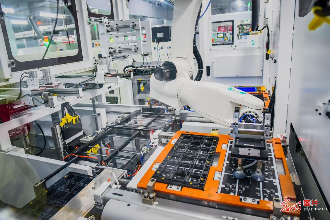 3月30日-4月5日光明图片一周见报作品精选