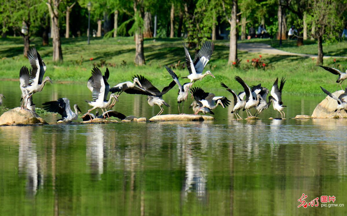 3月30日-4月5日光明图片一周见报作品精选 3月30日-4月5日光明图片一周见报作品精选