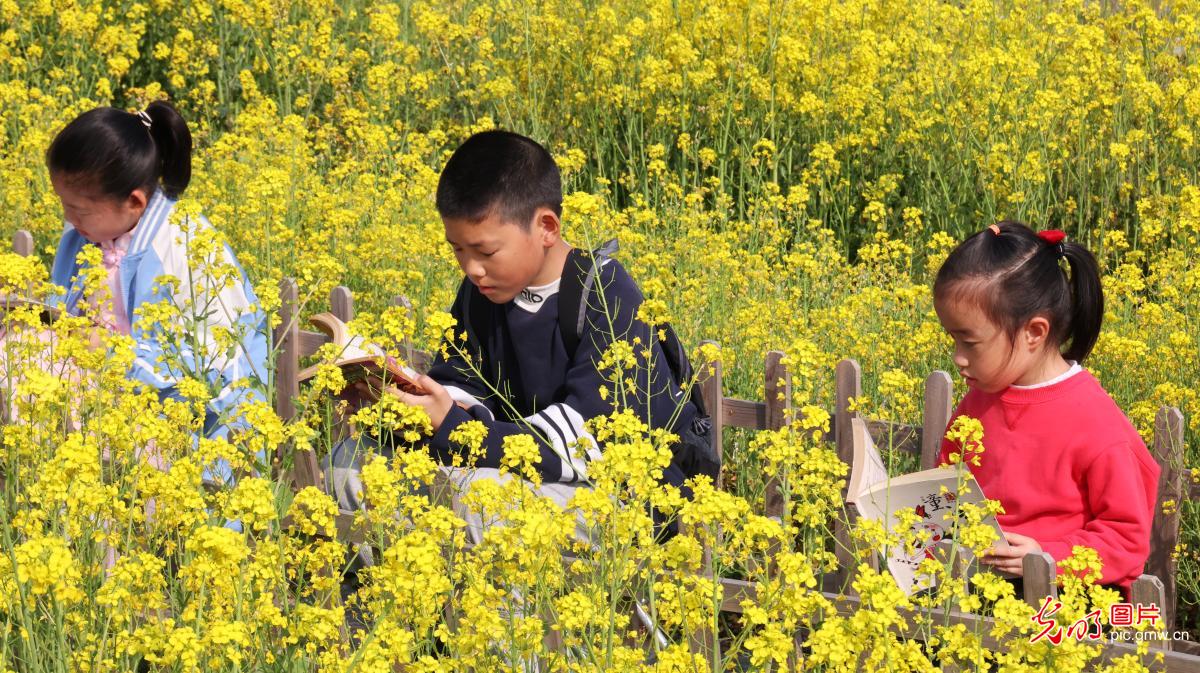 书香润童心 阅读伴成长