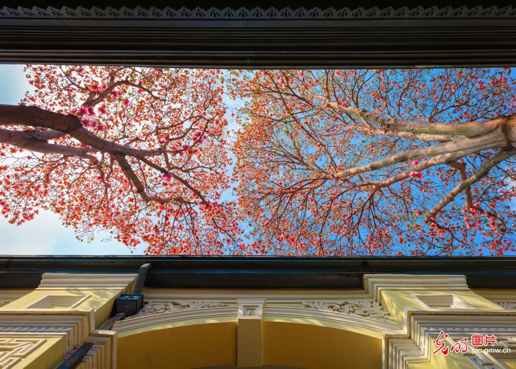 以花为信 交换春天 以花为信 交换春天