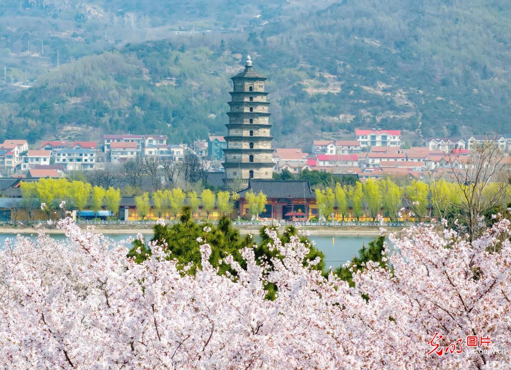 以花为信 交换春天 以花为信 交换春天