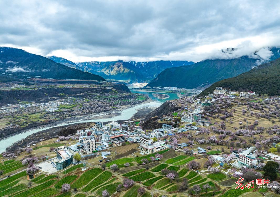 3月30日-4月5日光明图片一周见报作品精选 3月30日-4月5日光明图片一周见报作品精选