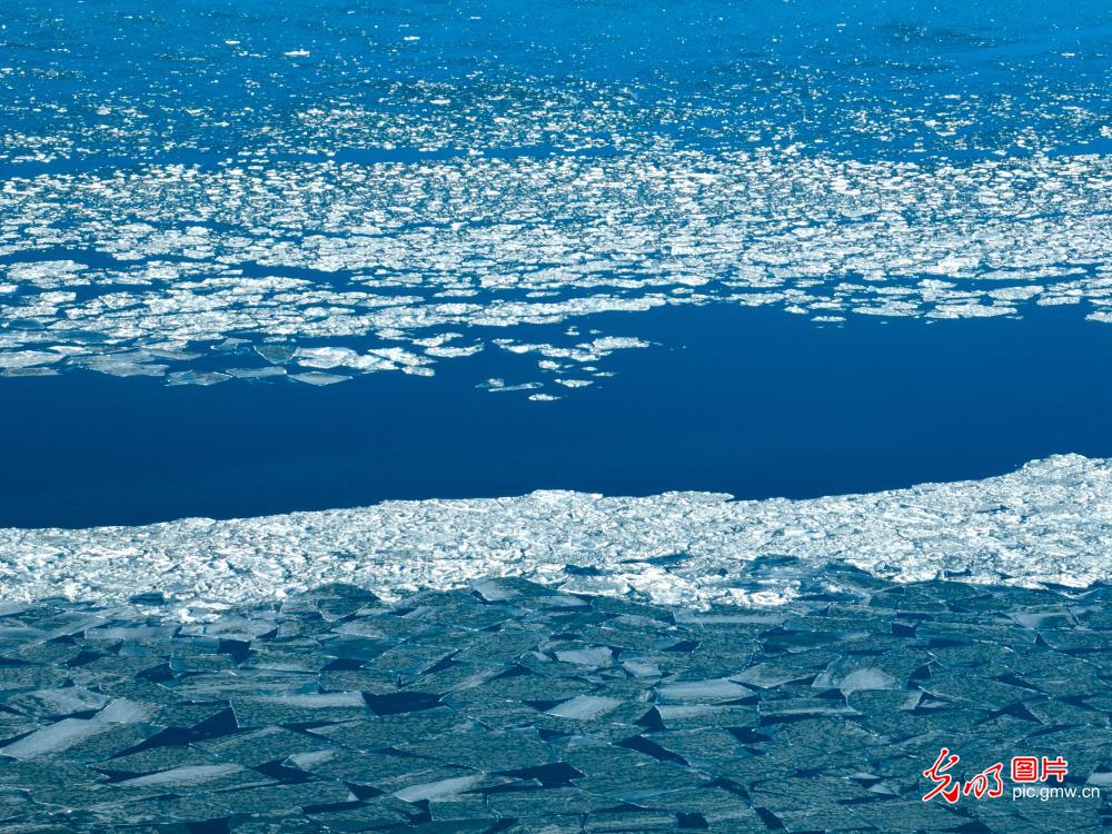 【AIGC动画】一色一风景 大地尽芳华