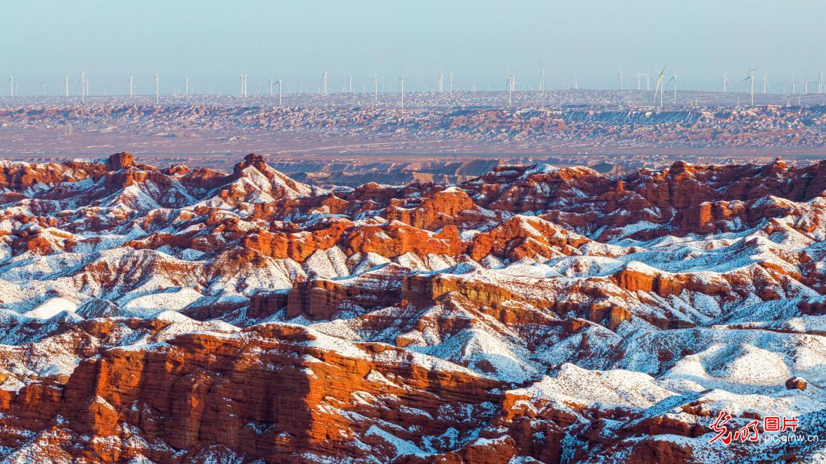 【AIGC动画】一色一风景 大地尽芳华