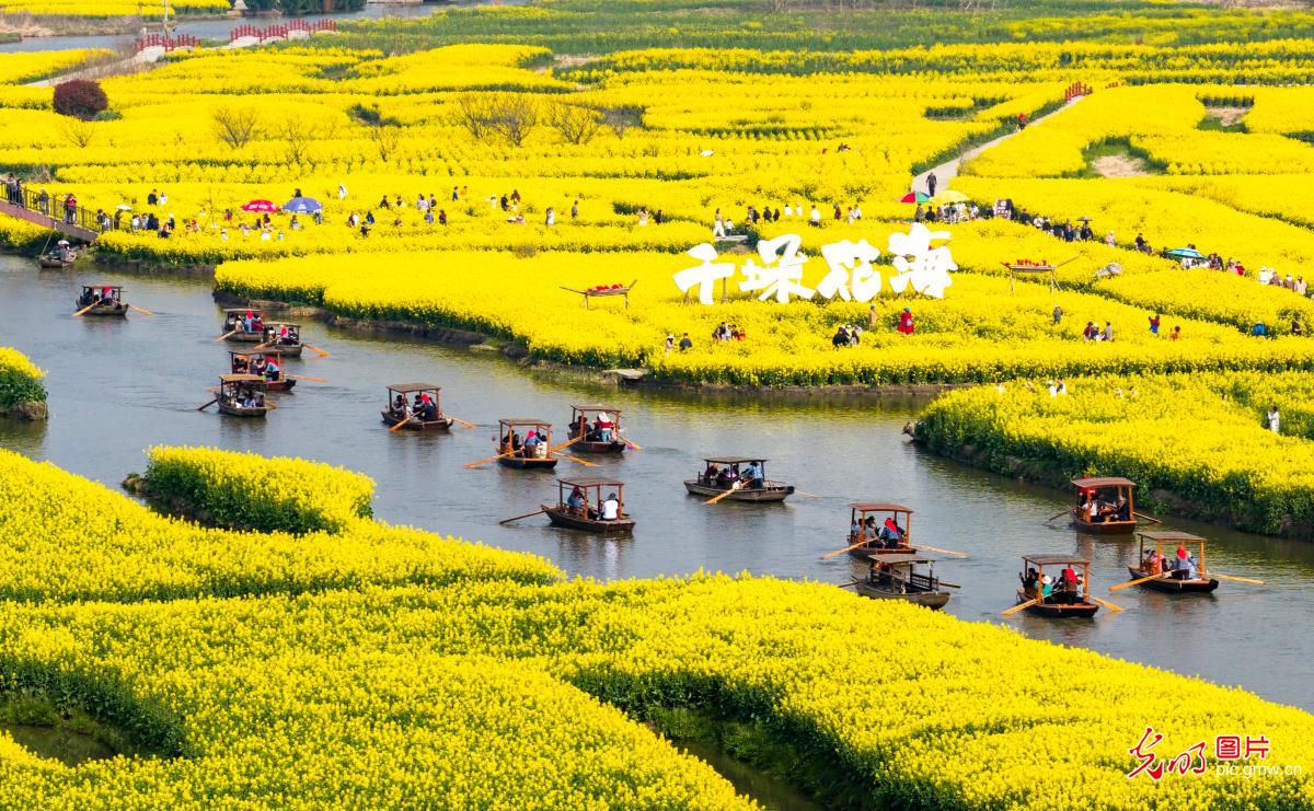 【AIGC动画】一色一风景 大地尽芳华