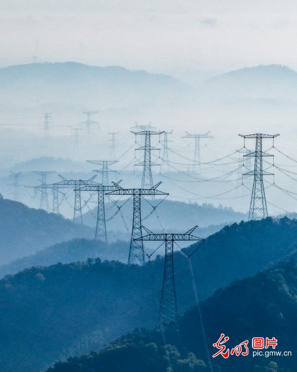 【AIGC动画】一色一风景 大地尽芳华