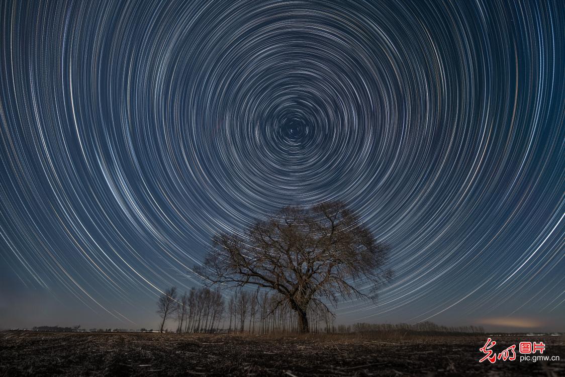 【AIGC动画】一色一风景 大地尽芳华