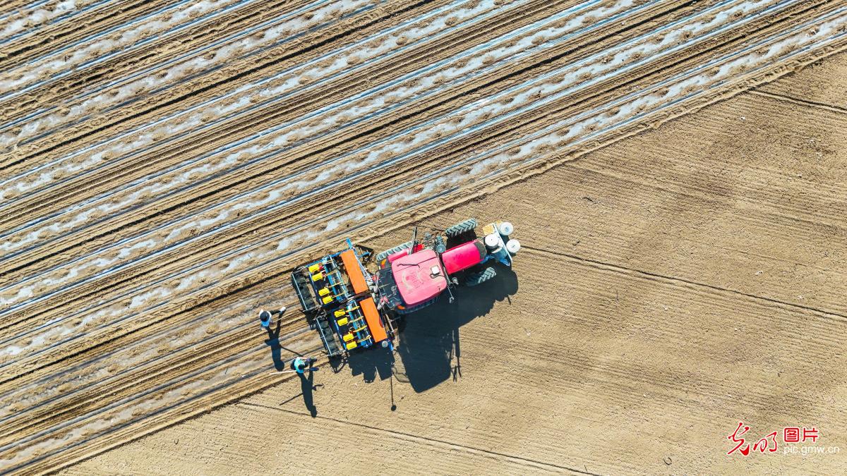 清明农时贵 春耕正当时