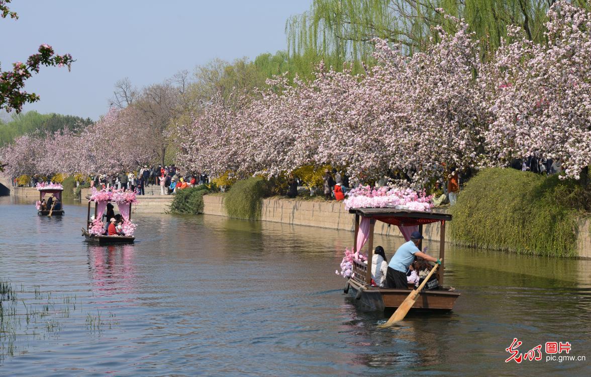 清明假期 各地开启“春日撒欢”模式