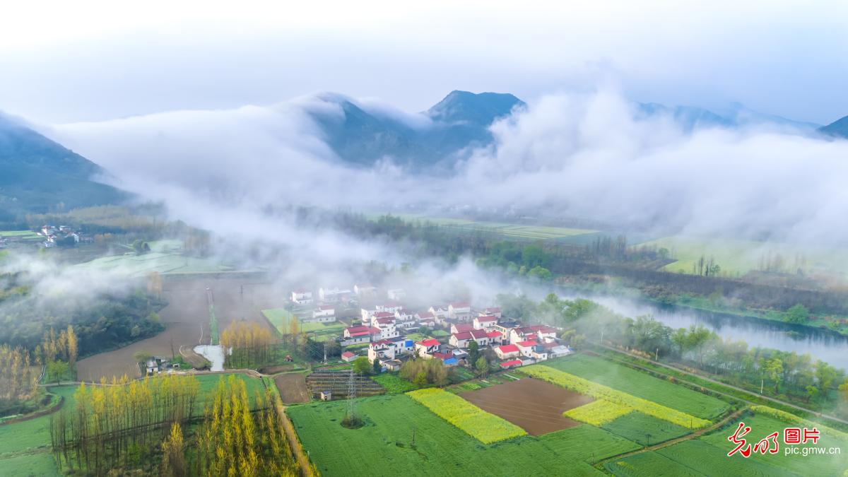 雾绕乡村春色美