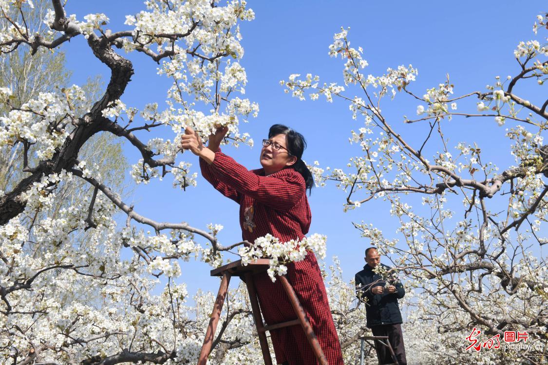清明农时贵 春耕正当时