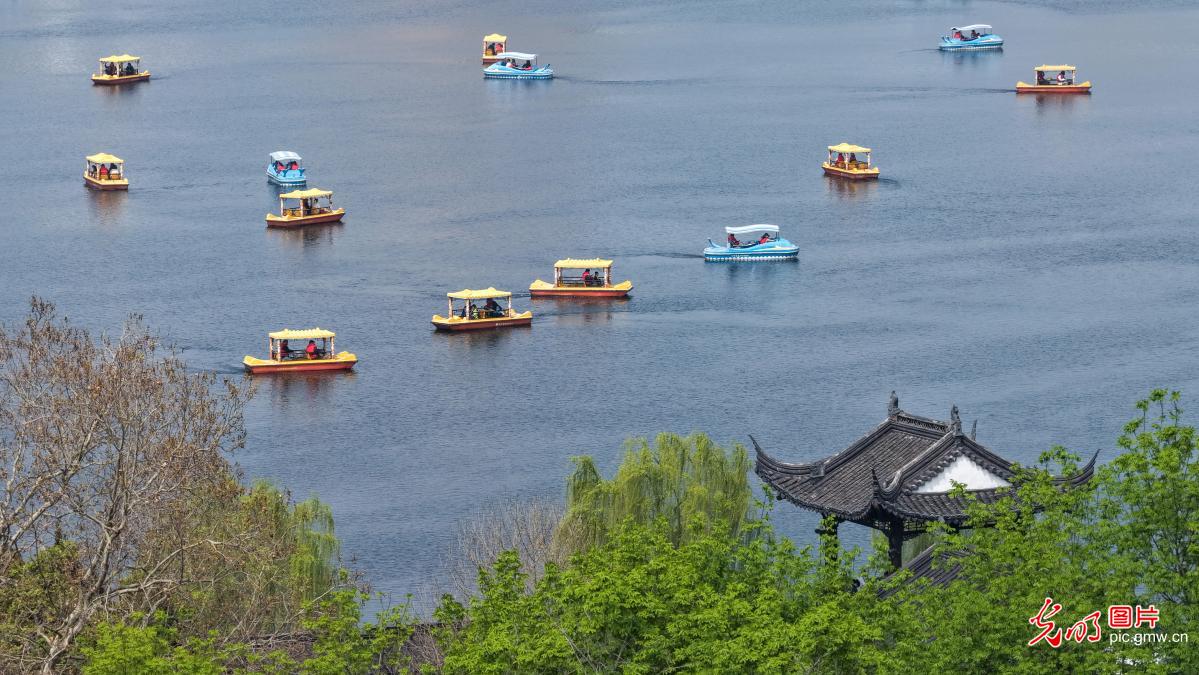 清明假期 各地开启“春日撒欢”模式