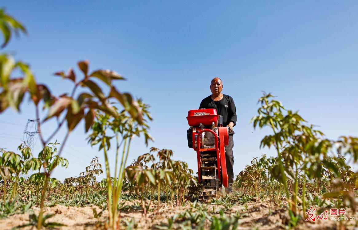 清明农时贵 春耕正当时