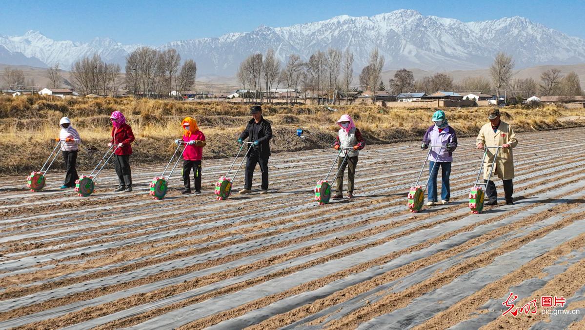 清明农时贵 春耕正当时