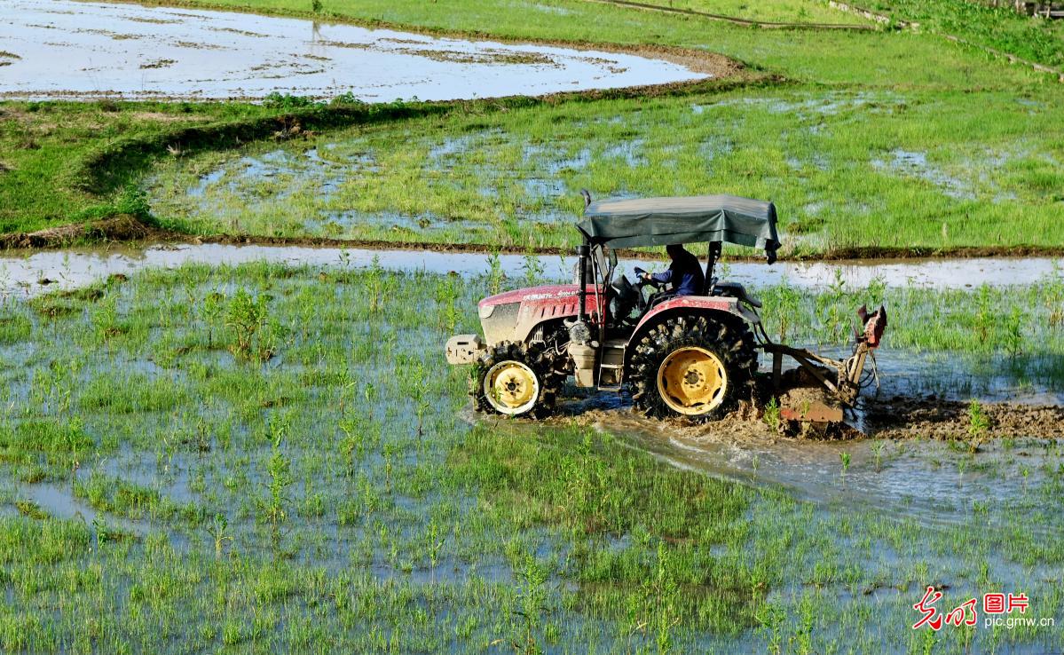 清明农时贵 春耕正当时