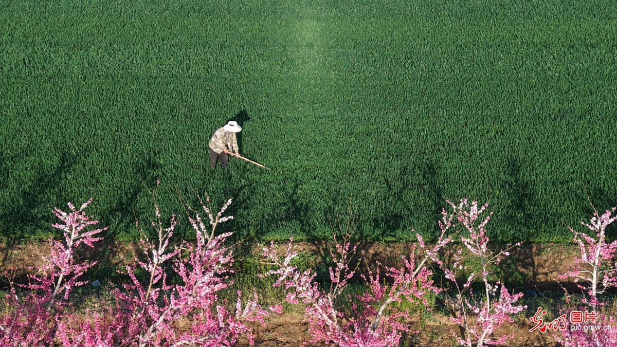 清明农时贵 春耕正当时