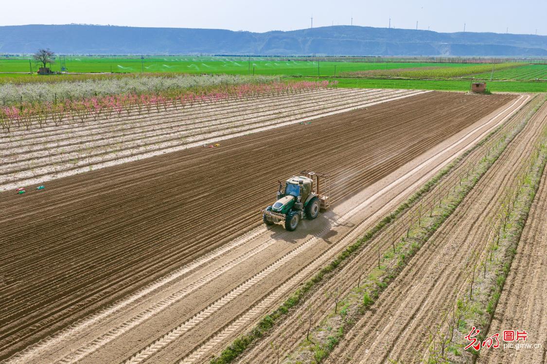 清明农时贵 春耕正当时