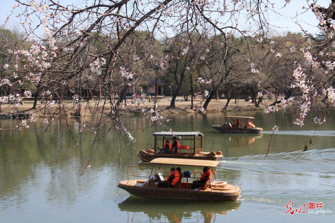 清明假期 各地开启“春日撒欢”模式